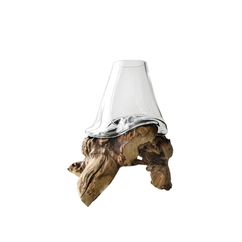 Molten Glass Vase on Driftwood