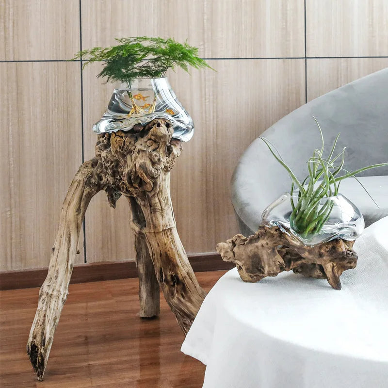 Molten Glass Vase on Driftwood