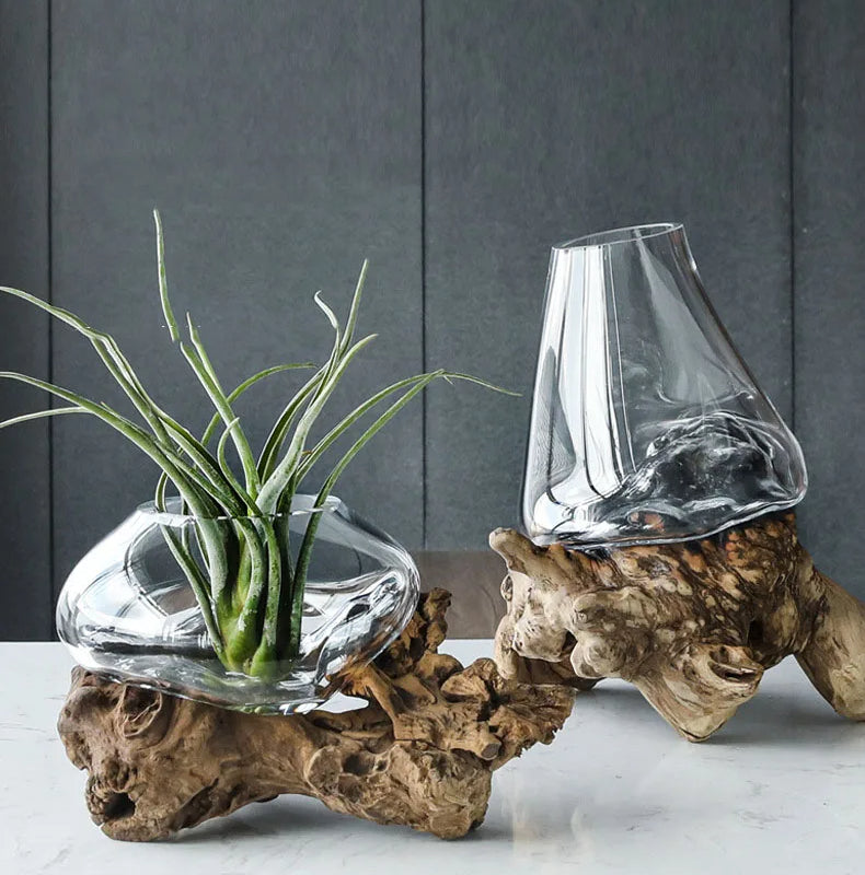 Molten Glass Vase on Driftwood