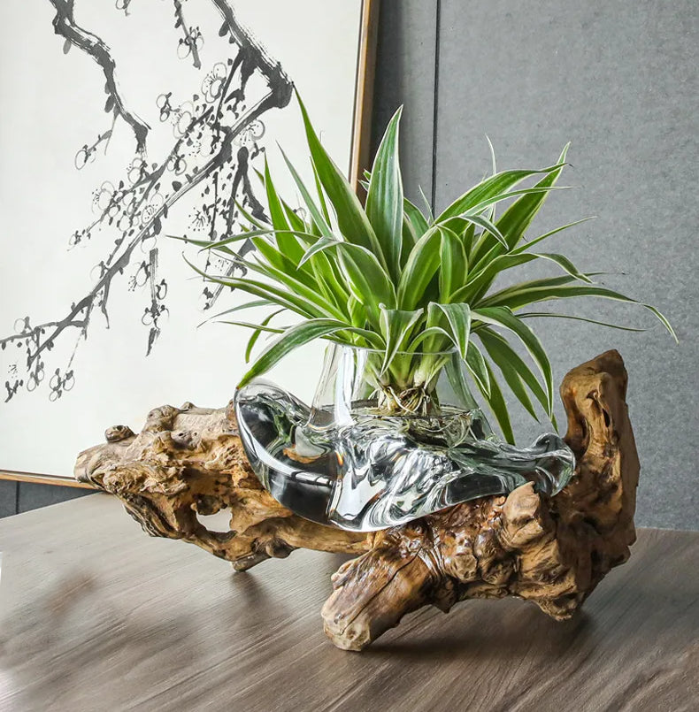 Molten Glass Vase on Driftwood