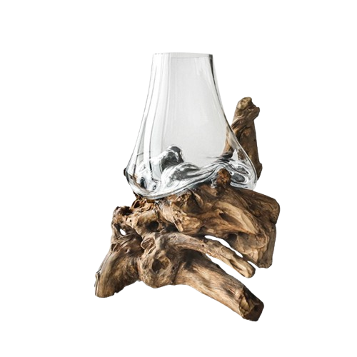 Molten Glass Vase on Driftwood